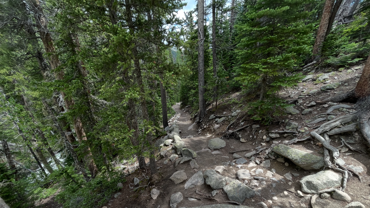 Endurance training update 02: trail running weeks 3-4